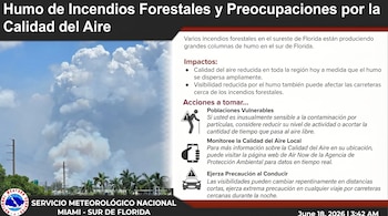 Infografía que muestra una densa columna de humo de un incendio forestal elevándose en el cielo, con una carretera y palmeras abajo, y texto explicativo.