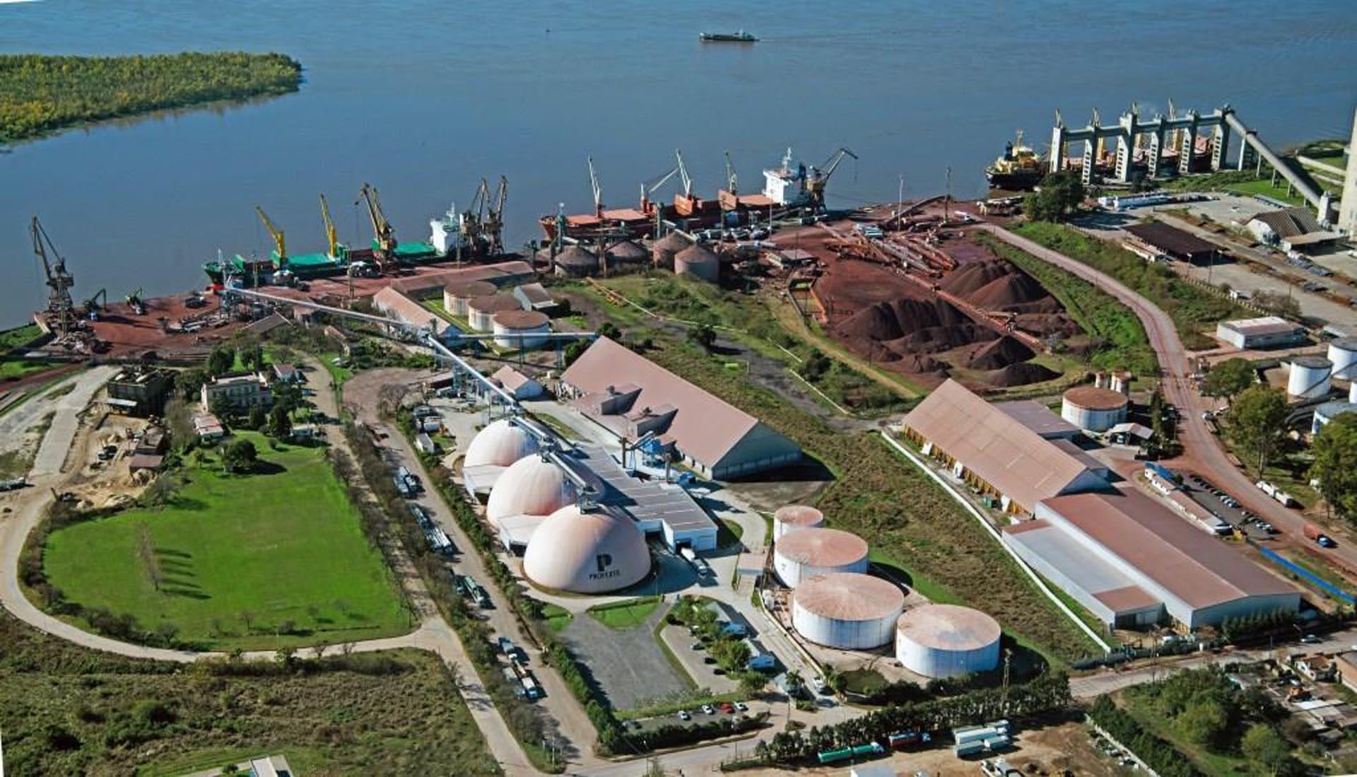 El Directorio de YPF aprobó la venta como parte de su estrategia de transformación y foco en Vaca Muerta (Prensa Profertil)