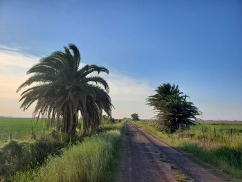 En la mano hacia Buenos