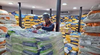 Centroamérica y Estados Unidos concentraron casi dos tercios de las exportaciones de Guatemala, con participaciones de 32,5 % y 32,2 %.