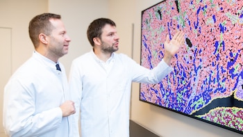 Un nuevo hallazgo permite anticipar