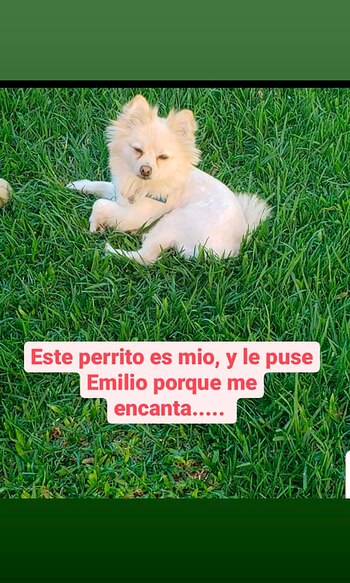 La primera Instagram Story de