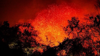 Incendios en Tolima EN VIVO: según la gobernadora, el daño ya alcanzó cultivos, ganadería y van 20.000 hectáreas afectadas