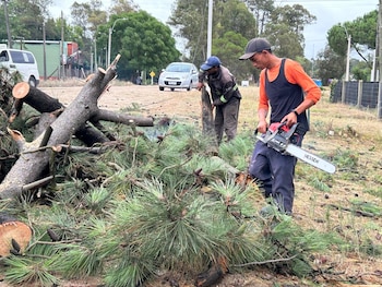 Los trabajos en el día