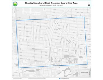 Es ilegal mover el caracol