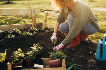 Mujer cuidando su jardín (iStock)