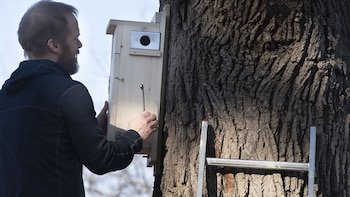 John Benson, profesor asistente de