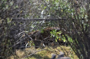 MEX183. OTUMBA (MÉXICO), 11/12/2021.- Un