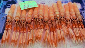 El Gobierno adelanta la asignación