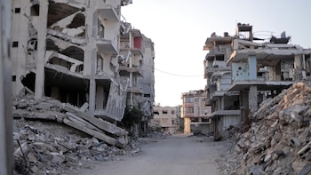 ONG del Comité de Emergencia