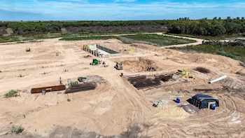 La empresa taló alrededor de