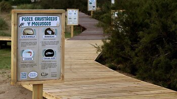 El año pasado las localidades