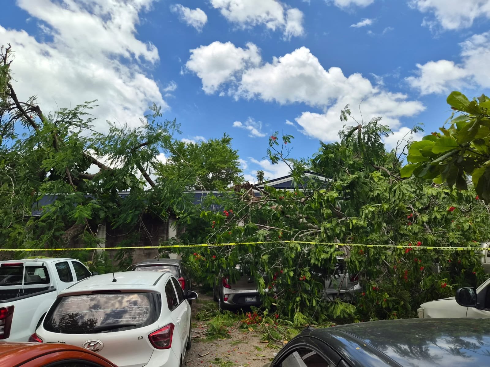 Ministerio de Trabajo de El Salvador acusa a constructora de retirarse de una conciliación tras accidente que dejó tres empleados heridos