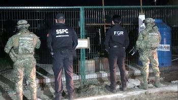 Dónde operan Los Rojos, facción del Cartel del Golfo intervenida por el decomiso de 135 animales exóticos