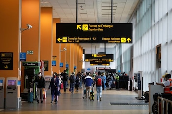 El Ministerio de Salud del Perú implementa vigilancia epidemiológica activa en todos los puertos y aeropuertos para prevenir la entrada del hantavirus. (REUTERS / Sebastián Castañeda)