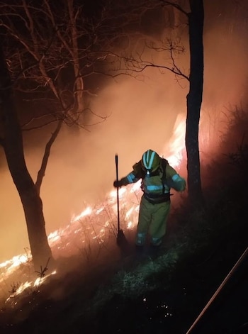 06/09/2026 Un bombero forestal trabaja en la extinción de un incendio este sábado.
SOCIEDAD
GOBIERNO DE CANTABRIA