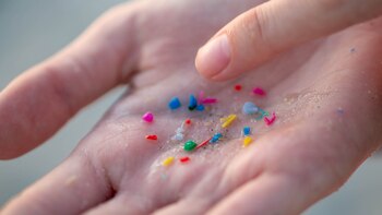 Estas son las proteínas que