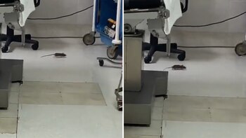 (Foto: Especial/@lumendoz)