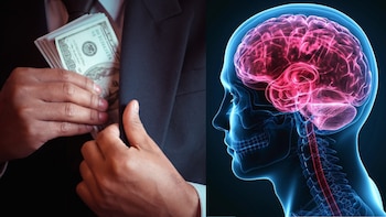 El cerebro humano activa circuitos