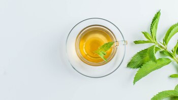 El compuesto principal de la