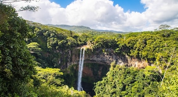 Día Internacional de los Trópicos – ONU – Perú – noticias – 29 junio