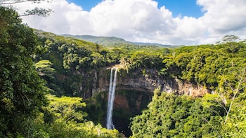 Día Internacional de los Trópicos: Manglares, agua y especies amenazadas se recuerdan este día