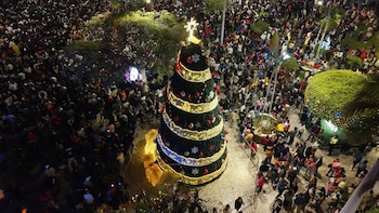Chiclayo cambia su árbol de