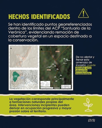 Se identificó reducción de cobertura vegetal en sectores cercanos al área protegida, lo que eleva el riesgo de ocupaciones. Instagram: Amazonía que late