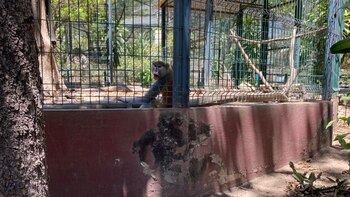 Aseguramiento de especies por la