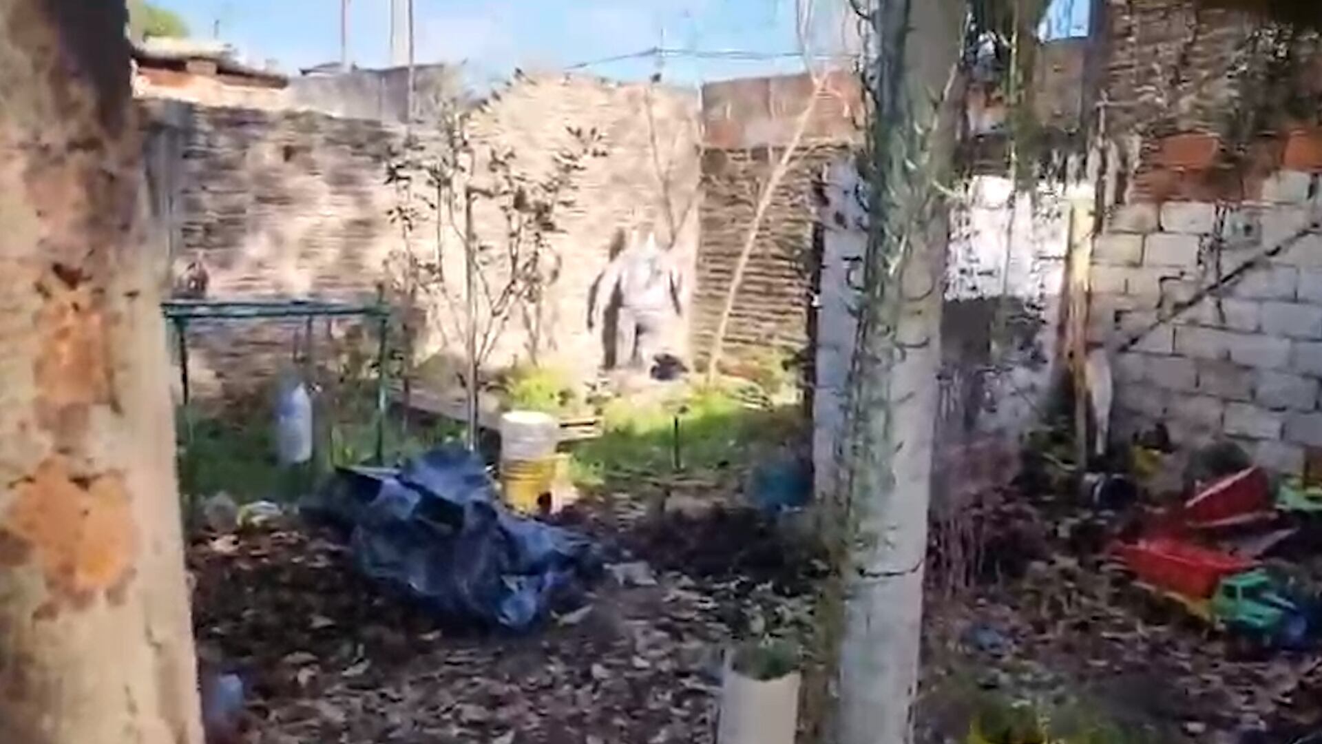 El patio donde enterraron los cuerpos