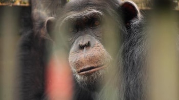 Pancho, en el 2007, cuando