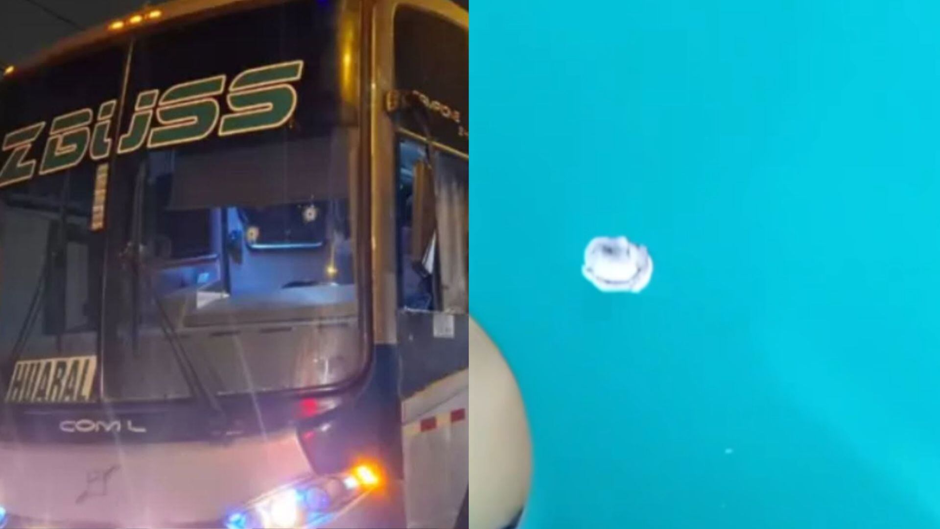 Bus de la empresa ZBuss es atacado otra vez con múltiples disparos