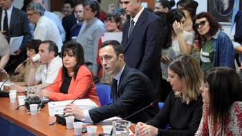 El diputado nacional Luis Petri