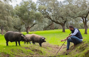 El jamón de Casa Lucas, premiado por la guía francesa Monde Selection (Ibéricos Casa Lucas)