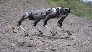 Estados Unidos prohibió el ingreso de robots chinos por riesgos de espionaje y accesos remotos