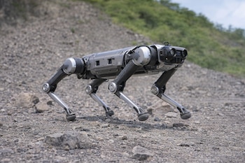 Robot de cuatro patas de color gris metálico sobre un terreno pedregoso, con vegetación verde y cielo nublado en la parte superior del fondo.