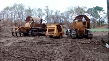 Bosques destruidos Argentina