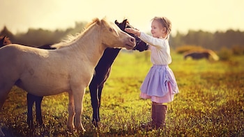 La terapia asistida por animales