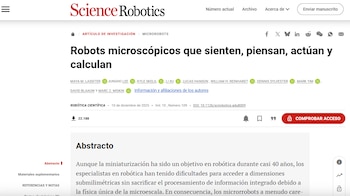 Investigadores de la Universidad de