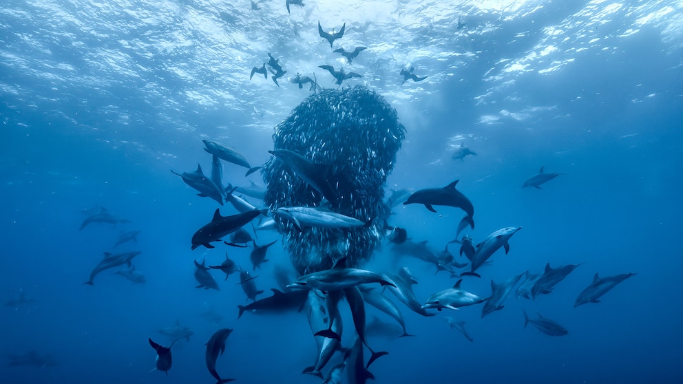 OCEANOS