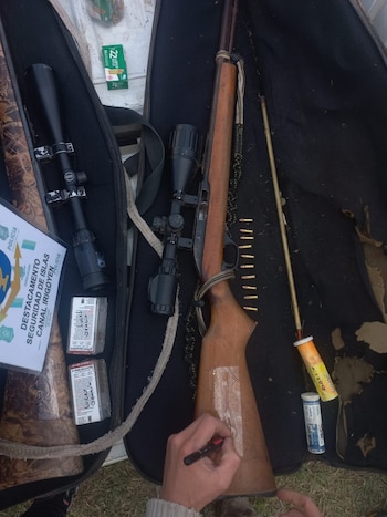 Desbarataron un campamento de cazadores furtivos en Zárate: había ciervos carpinchos y mulitas faenadas