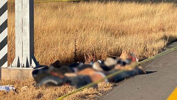 A finales de noviembre pasado