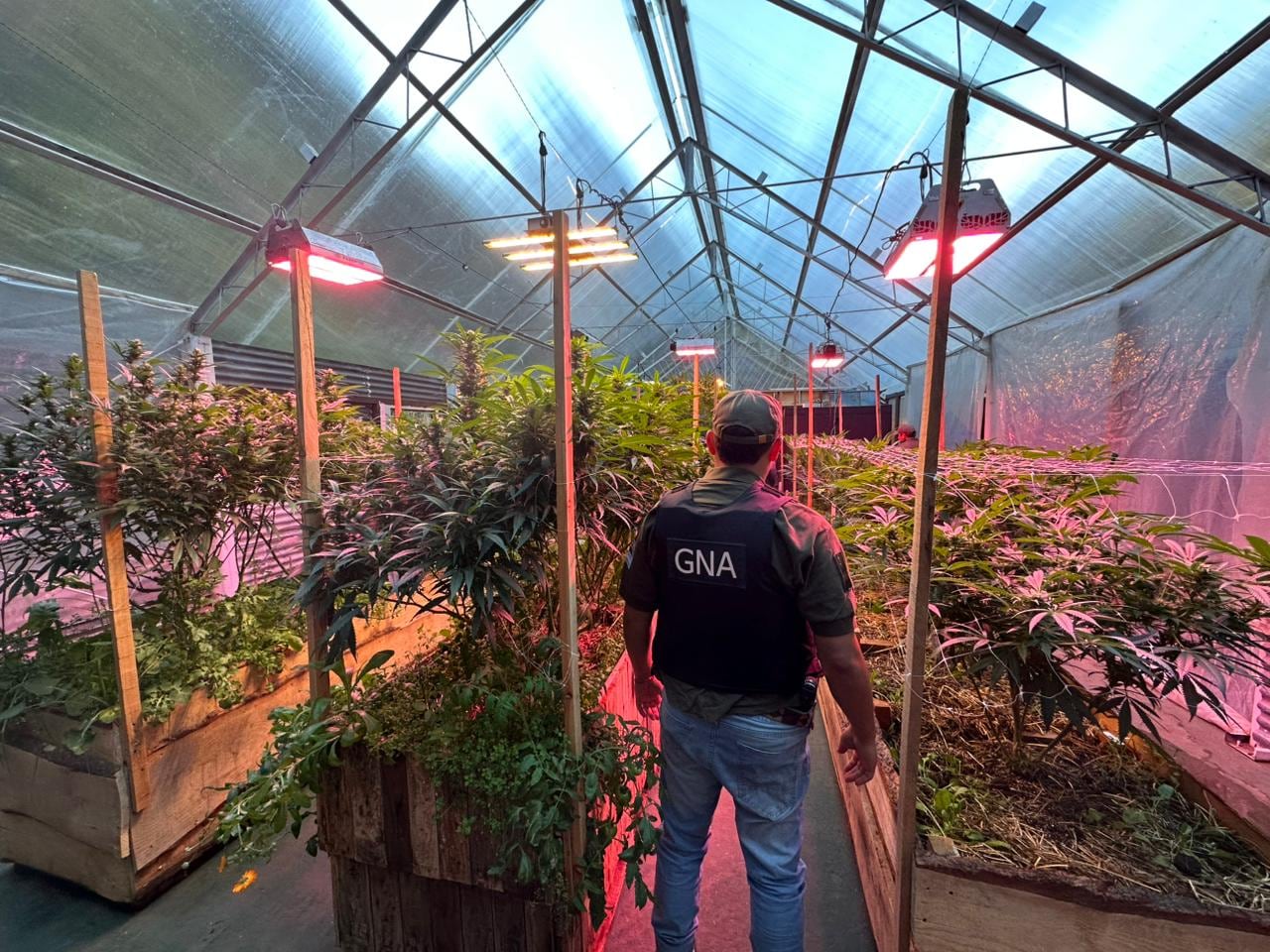 Ocho personas quedaron vinculadas a la causa judicial en Bariloche, acusadas de integrar una organización de cultivo y comercialización de drogas