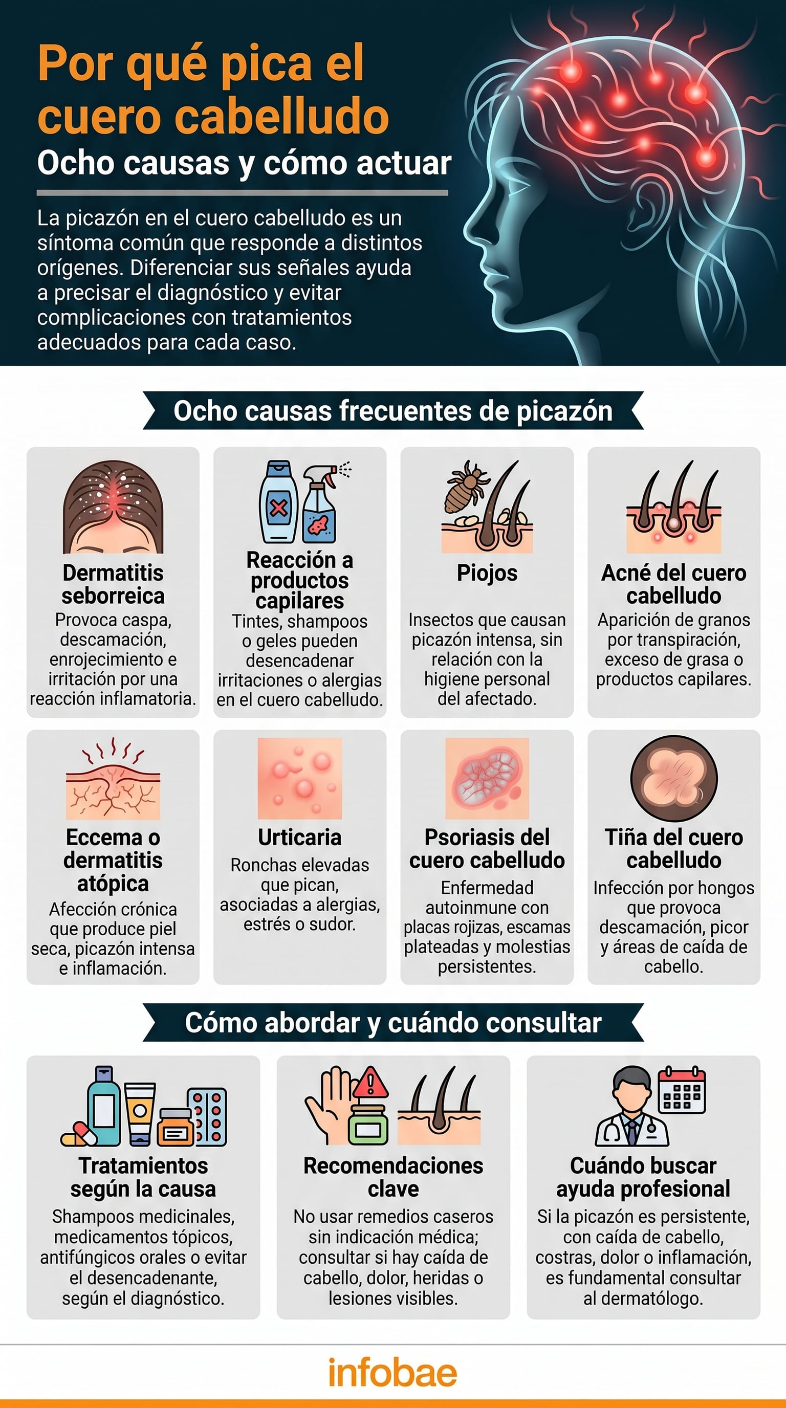 La dermatitis seborreica causa picazón en el cuero cabelludo con caspa, descamación, enrojecimiento e irritación (Imagen Ilustrativa Infobae)