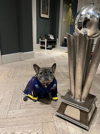 Nala, la mascota de Luke