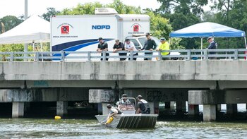 Hallaron un cráneo humano sin