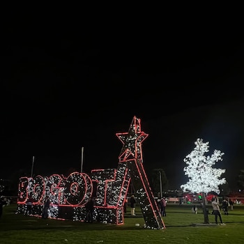 Cada alumbrado es público y