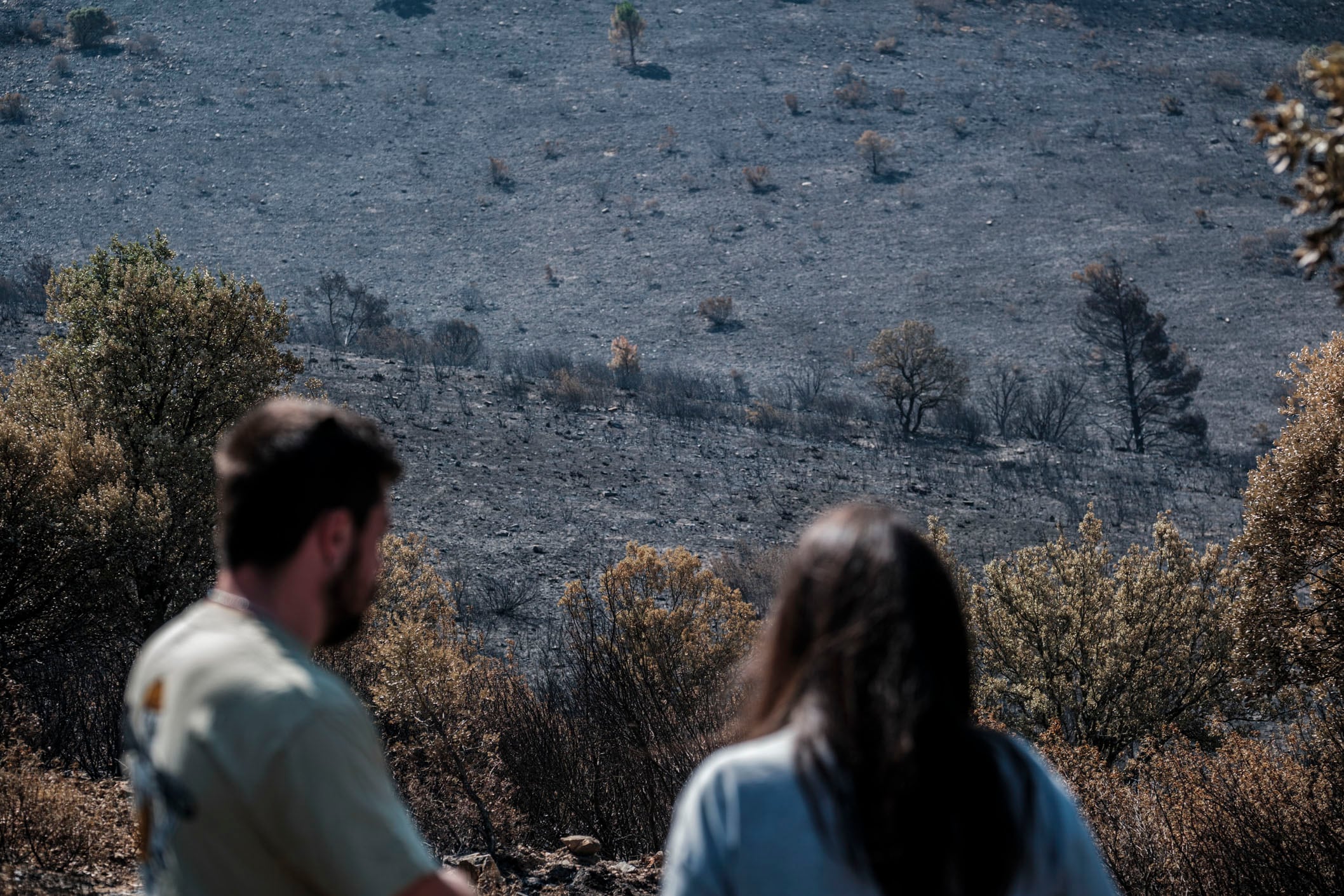 Vista de las zonas arrasadas por el incendio de La Mierla (Guadalajara). (EFE/Nacho Izquierdo)