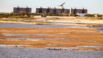 Las consecuencias de la bajante
