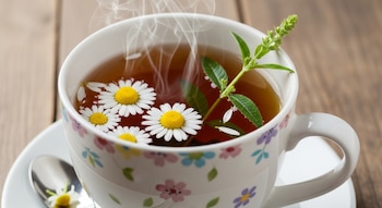 Una taza de té blanca con diseño floral contiene una infusión caliente con vapor, tres margaritas de manzanilla y una rama verde de cedrón.
